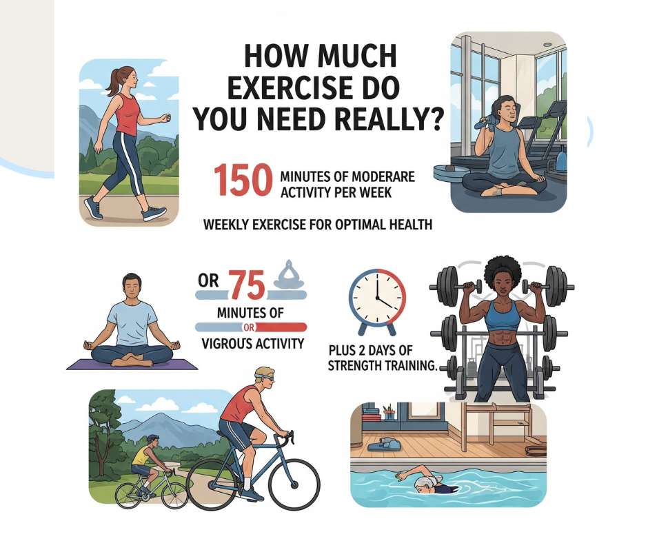 “How Much Exercise Do You Need Really?” It recommends 150 minutes of moderate activity per week or 75 minutes of vigorous activity, plus 2 days of strength training for optimal health. Illustrations include people walking, meditating, lifting weights, cycling, swimming, and exercising in a gym setting.