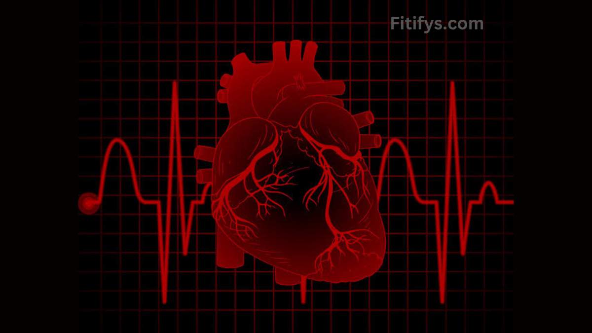 A digital red illustration of a human heart with visible arteries, set against a black background with a red ECG (electrocardiogram) line and grid pattern. The image is branded with "Fitifys.com" in the top right corner.